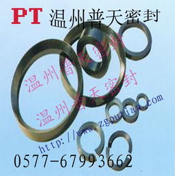 石墨填料与金属配件 工业密封与配件的可靠选择